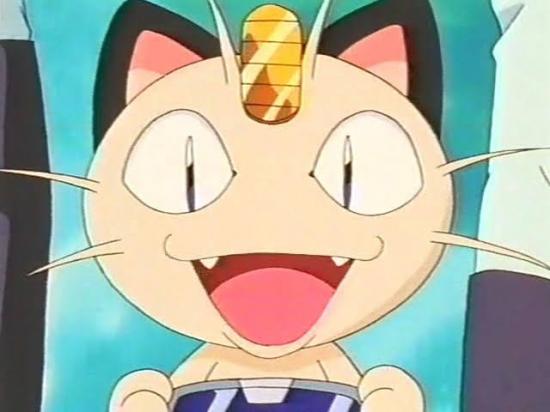 Miaouss souriant
