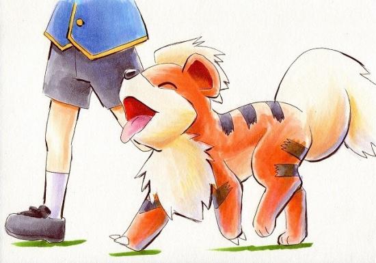 Caninou